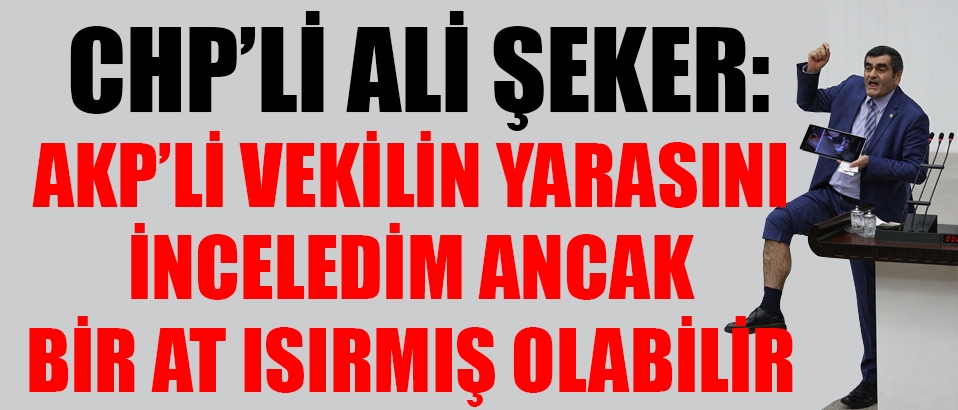 CHP'li Ali Şeker: AKP'li vekilin yarasını inceledim, ancak bir at ısırmış olabilir!