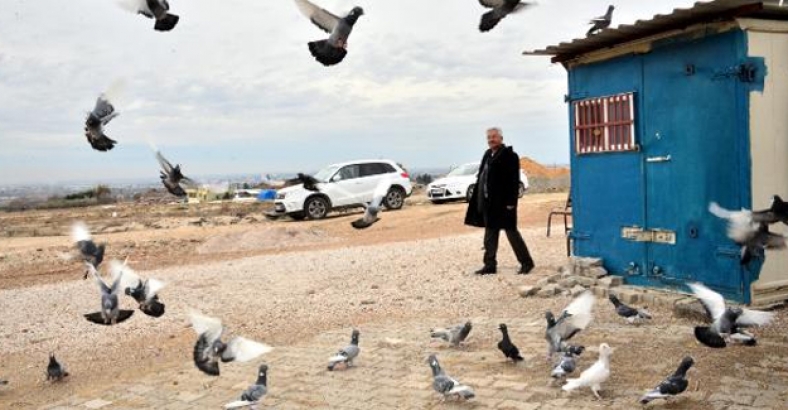 Kepçe ile 50 bin liralık güvercin çaldılar