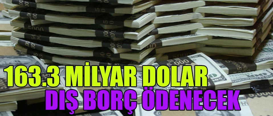 Toplam 163.3 milyar dolar dış borç ödenecek