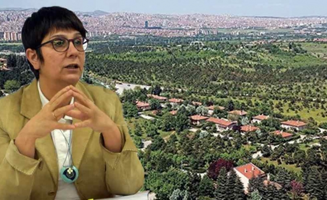 Atatürk Orman Çiftliği'nde talan: Metrekaresi 10 kuruş