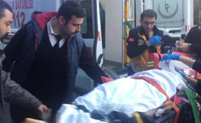 Orman işçilerinin üzerine ağaç devrildi: Ölü ve yaralı var