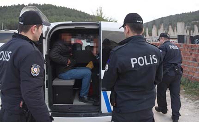 Köpeğe cinsel saldırıda bulunan 2 sapık gözaltına alındı