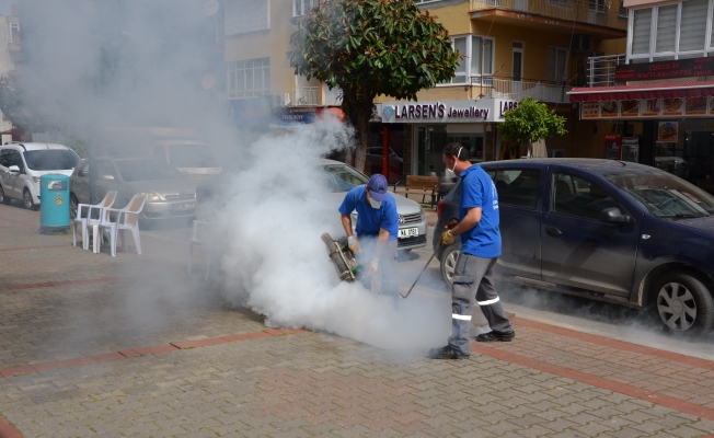 Antalya'da sinekle mücadele sürüyor
