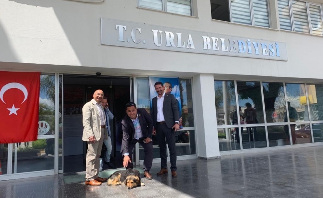 YURT ÖZEL | İclal Aydın duyurmuştu: Hayvan eziyetine Fatih Sarı'dan açıklama