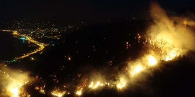 Giresun'da orman yangını: Müdahale edilemiyor