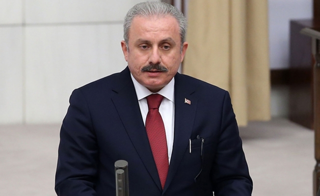 Şentop'tan Meclis'teki 'terör eylemiyle' ilgili açıklama