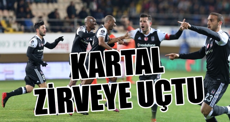 Kartal, zirveye uçtu