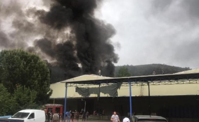 Bursa'da soğuk hava deposunda yangın: Tonlarca meyve - sebze kül oldu