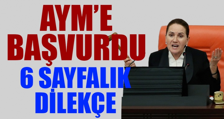 Meral Akşener, Anayasa Mahkemesi'ne başvurdu