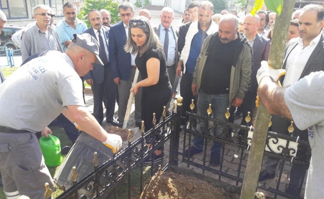 Maganda kurbanı liseli Ahmet'in anısına doğum gününde 21 fidan