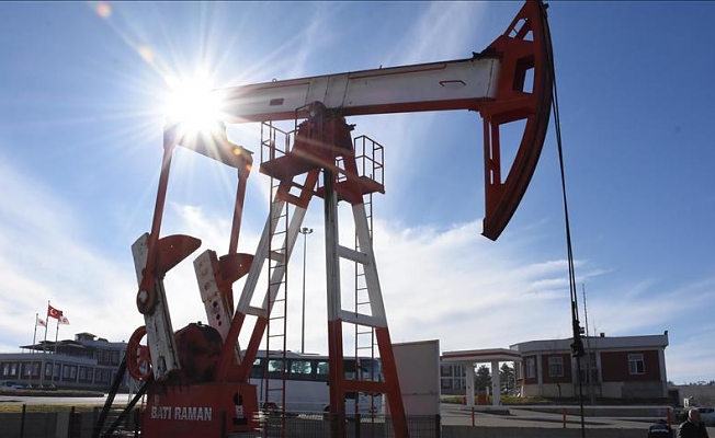 Petrol fiyatları Trump'ın açıklamaları ve OPEC etkisiyle karışık