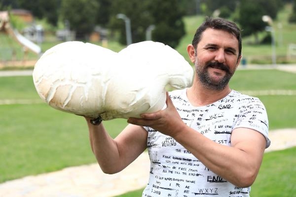 Dev mantar yurttaşları şaşırttı