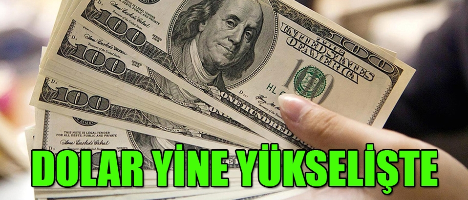 Dolar yükselişte TL toz duman