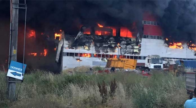 Kocaeli'de büyük yangın!