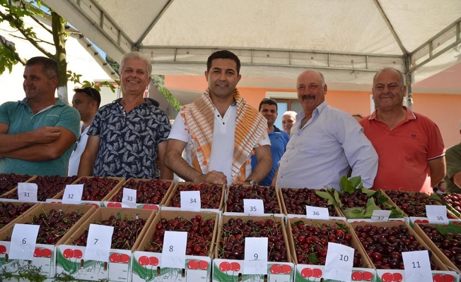 Kuşadası'nda yedi yıllık özlem sona erdi