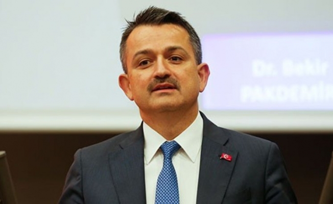 Bakan Pakdemirli’den bir kıyak atama daha