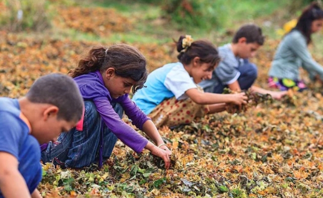 Bu memlekette çocuklara karşı suç işleniyor!