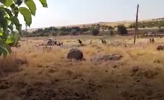 VİDEO | Aşiret kavgası dediler, gerçek ortaya çıktı: Siverek'te katliam!