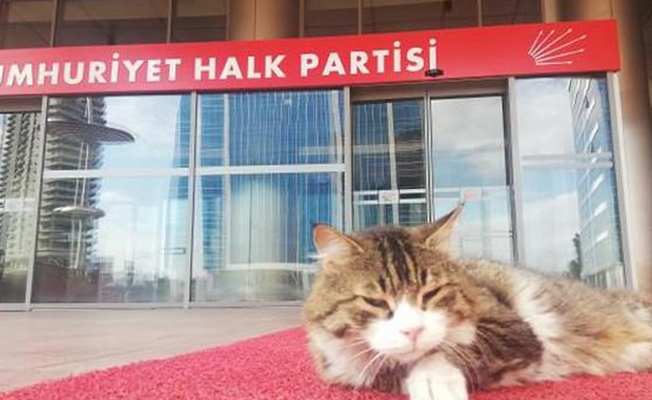 CHP "Şero"ya kaldı