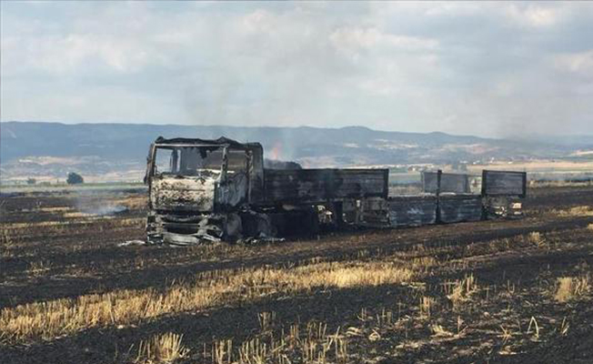 Sigara izmariti tarlayı ve TIR'ı yaktı