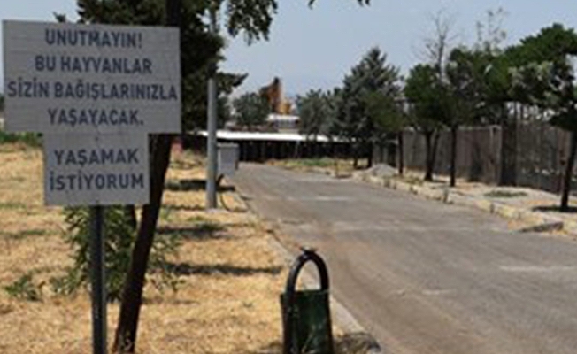 Alçalmanın sonu yok: Hayvanlar için gönderilen ekmeği satmış...