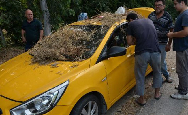 Otomobilini kuru otlarla doldurdu, polislerin üzerine sürdü