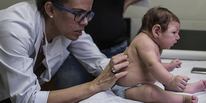 WHO: Zika virüsü bu yaz Avrupa'ya ulaşabilir