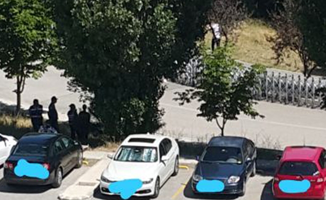 Kesmek için geldikleri ağaçların gölgesine sığındılar