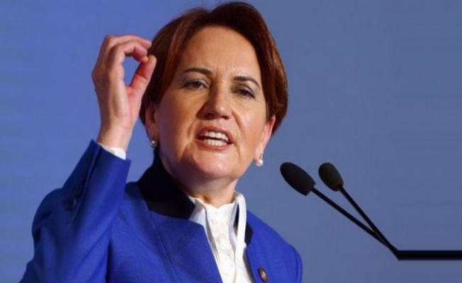Meral Akşener'den ODTÜ paylaşımı: Yeşil ağaç kesenin...
