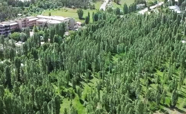 VİDEO | ODTÜ'ye vatan düşmanı saldırı: İşte ağaçlık alanın son hali