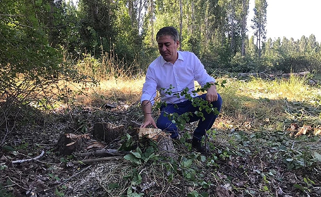 CHP'den ODTÜ tepkisi: Katliam yapıldı