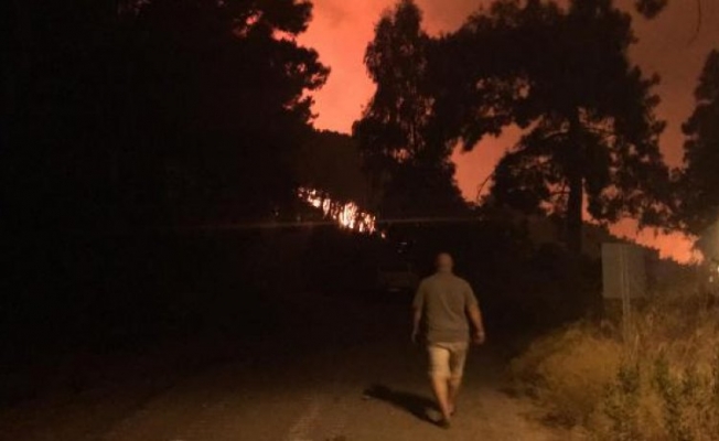 Dalaman'da orman yangını kontrol altına alındı