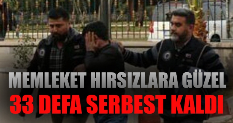 Hırsızlık zanlısı 33 kez serbest kaldı