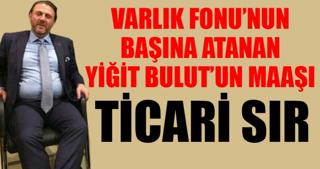 Varlık Fonu yönetimine atanan Yiğit Bulut'un maaşı ticari sır!