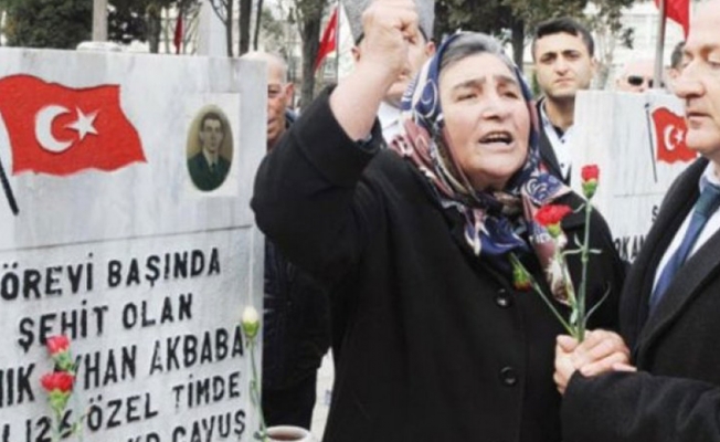 VİDEO | Pakize Akbaba’dan Erdoğan’a tepki: Bu onun oğlunun kurduklarına benzemez