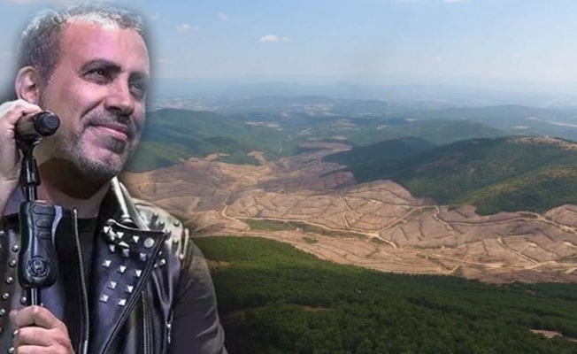 Haluk Levent, Çanakkale’deki ağaç katliamına tepki gösterdi