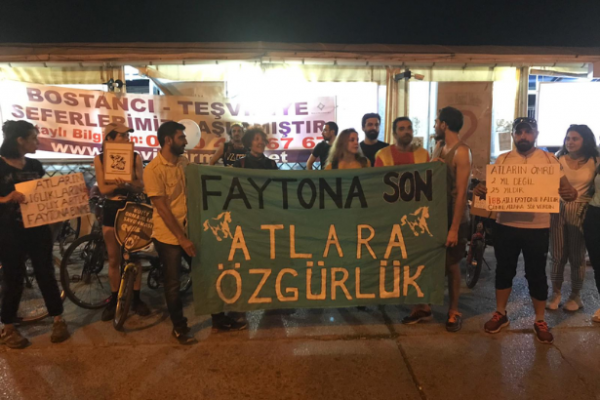 Atların özgürlüğü için pedal çevirdiler: Faytona son, atlara özgürlük