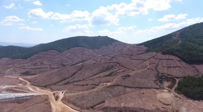 Bakanlıktan Kaz Dağları açıklaması: Tam da orası değil aslında...