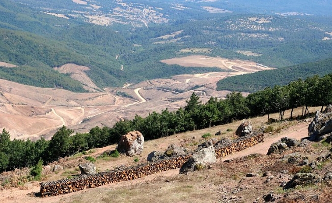 Sevgili okura not: Bu haber şaka değildir!