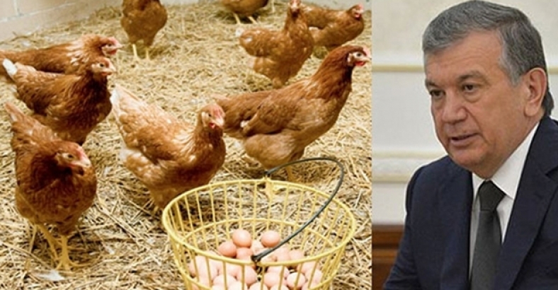 Yeni başkandan yoksulluk çözümü