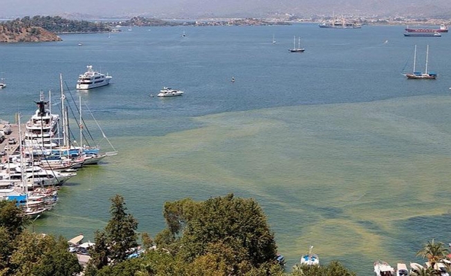 Tatil cenneti çamura bulanmıştı: Nedeni ortaya çıktı