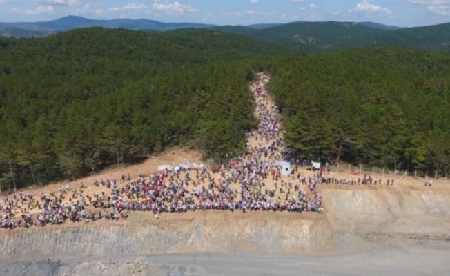 A Haber'den yeni nesil penguen belgeseli: Her şey algı operasyonu