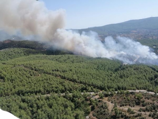 Bodrum'da korkutan yangın