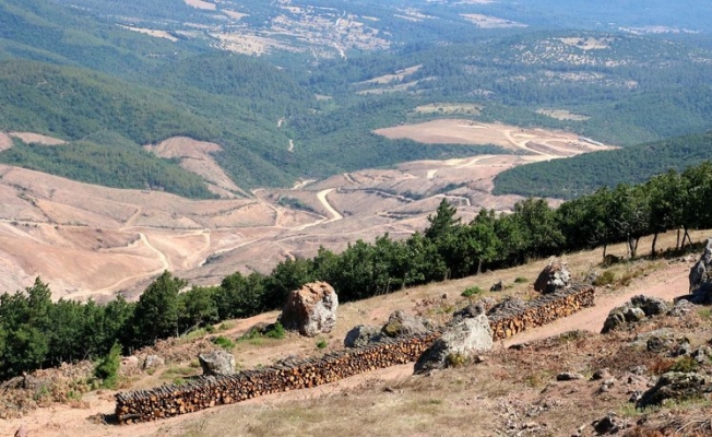 Kaz dağları mı Kâr dağları mı?