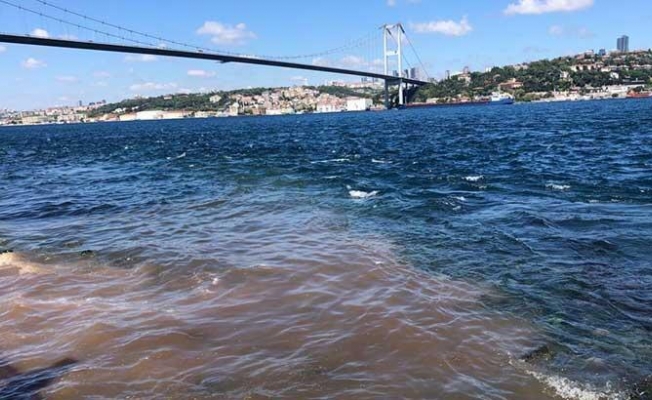 Bayramın ilk gününde kurban kanları denize aktı