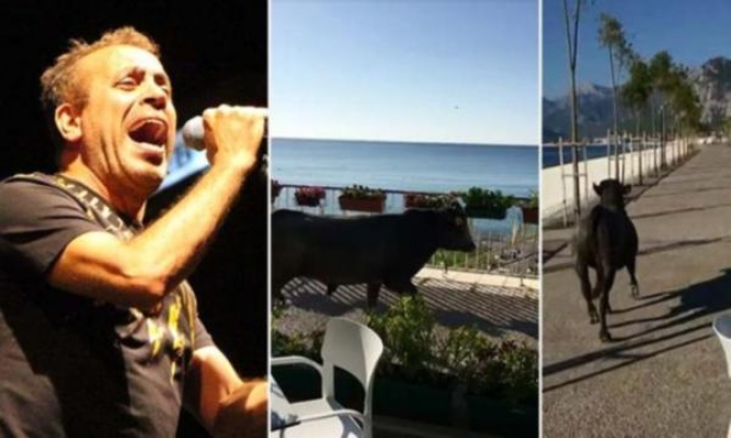 Haluk Levent'ten çağrı: Görenler ihbar etsin