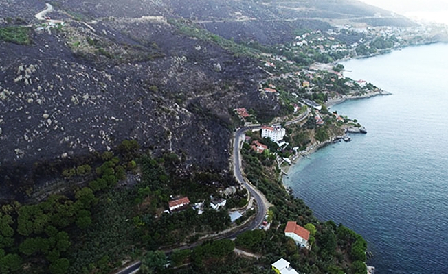 Türkiye'nin üzerinde kapkara bulutlar: Ciğerlerimiz soluyor, artık yeter!