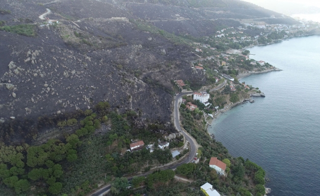 Marmara Adası'nı yakanlar tutuklandı