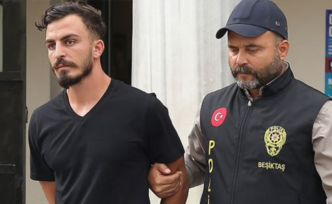 Sahaya atlayan şaklaban serbest bırakıldı