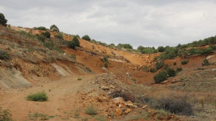 Vahşet: 200 bine yakın ağaç kesilecek
